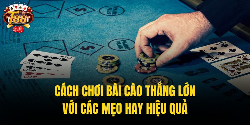 Cách chơi bài cào hiệu quả khi biết cách kiểm soát tốt các yếu tố cá nhân
