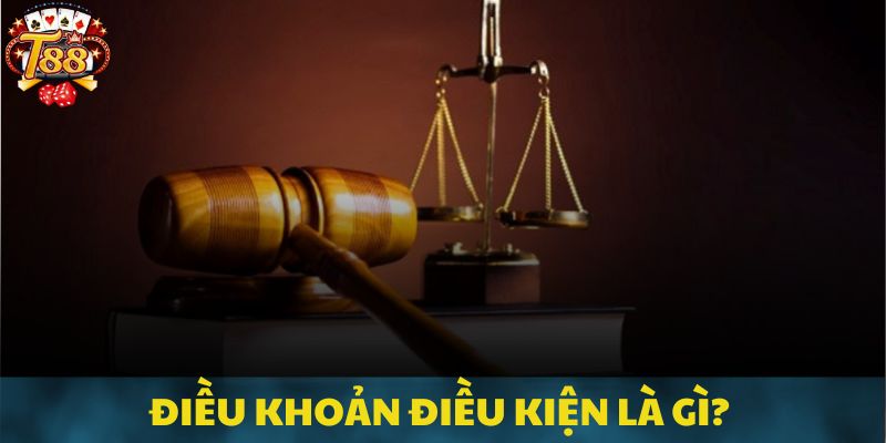 Thông tin quan trọng về quy định điều khoản điều kiện tại T88